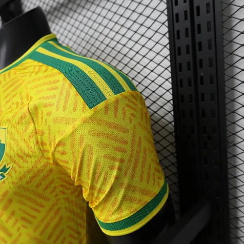 2026 Player Version South Africa Home Football Shirt 1:1 Thai Quality